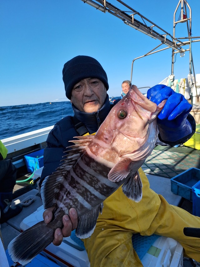 タカバ(マハタ)