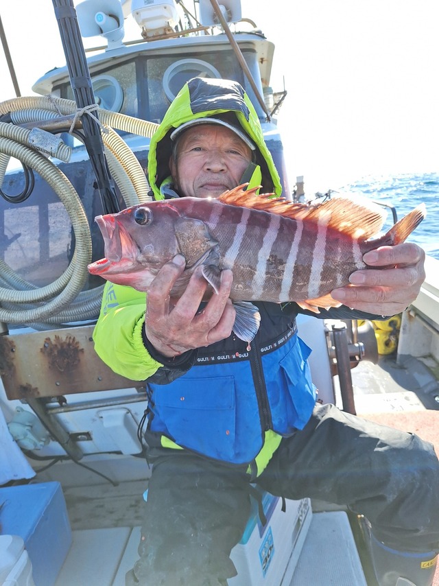 タカバ(マハタ)