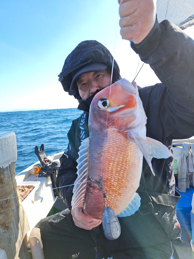 アマダイ(アカアマダイ)