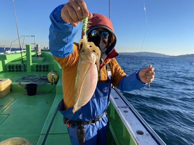 モンゴウ(カミナリイカ)