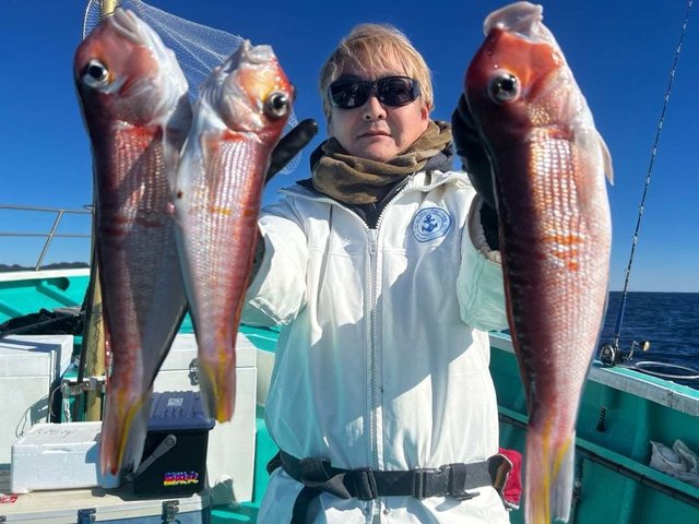 アマダイ(アカアマダイ)