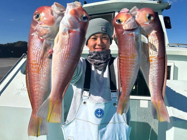 アマダイ(アカアマダイ)