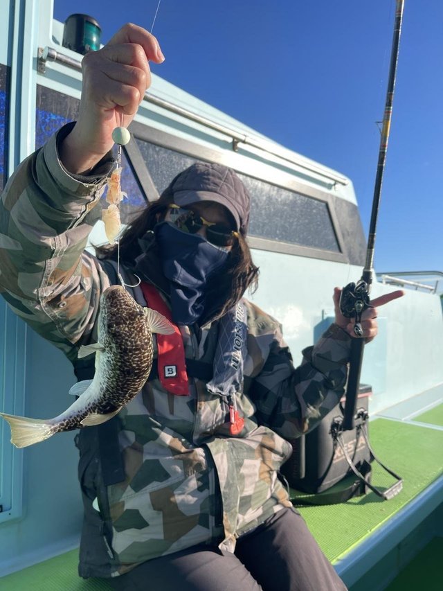 フグ(ショウサイフグ)