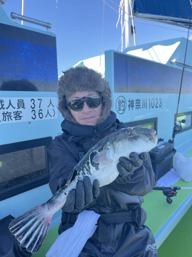 フグ(トラフグ)