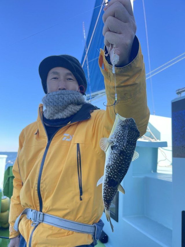 フグ(ショウサイフグ)