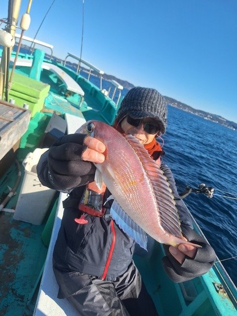 アマダイ(アカアマダイ)