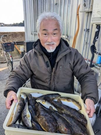 トラフグ・アカメフグ・コモンフグ・ショウサイフグ