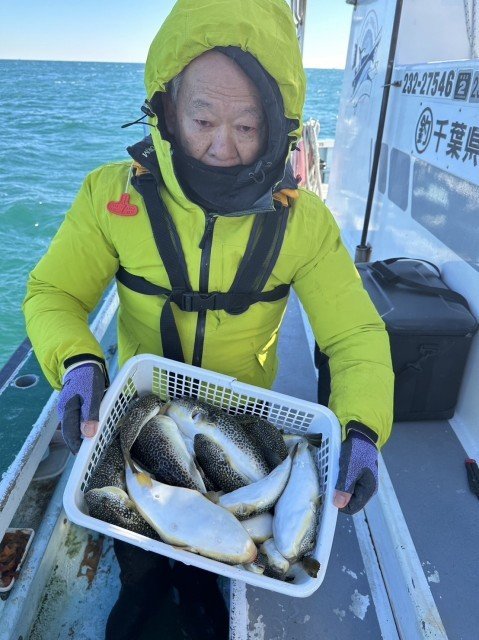 フグ(ショウサイフグ)