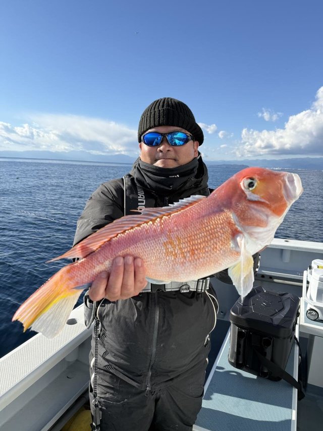 アマダイ(アカアマダイ)