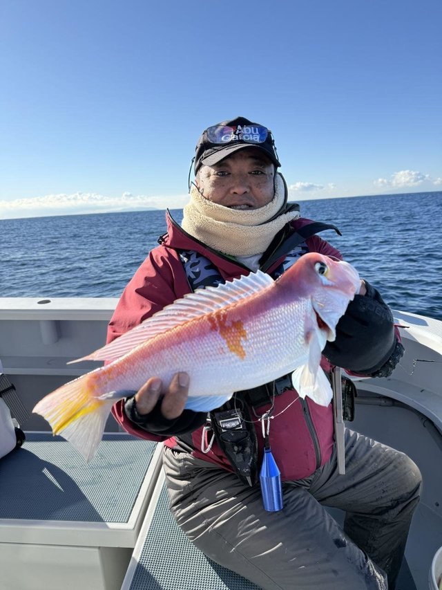 アマダイ(アカアマダイ)