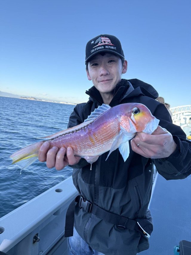 アマダイ(アカアマダイ)