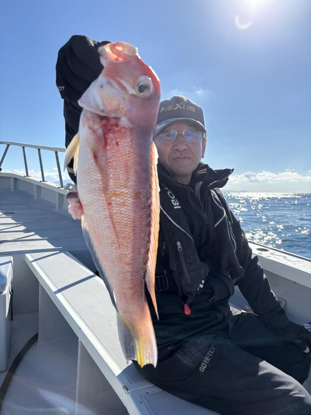 アマダイ(アカアマダイ)