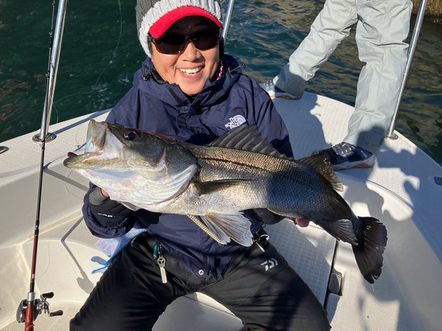 シーバス(スズキ)