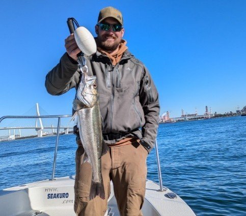 シーバス(スズキ)