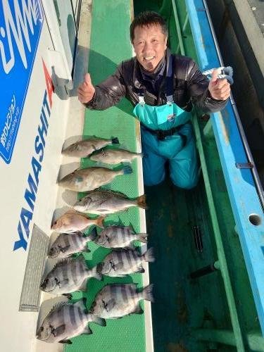 イシダイ・ウマズラ(ウマヅラハギ)