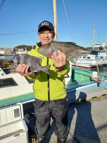 イシダイ・ウマズラ(ウマヅラハギ)