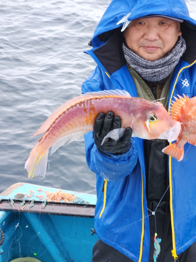 アマダイ(アカアマダイ)