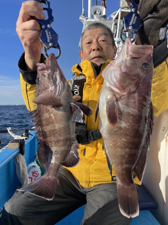 カサゴ・マゾイ(キツネメバル)