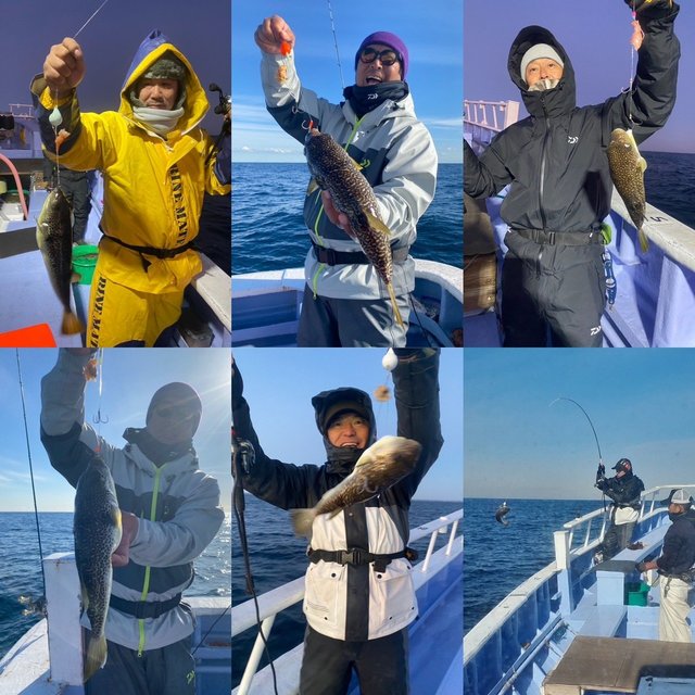 ショウサイフグ