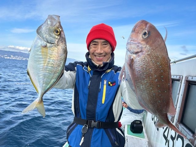 マダイ・カイワリ