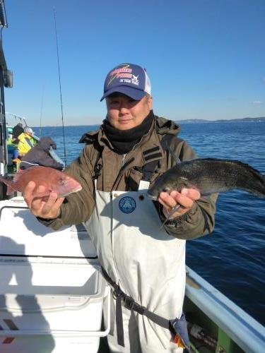 マダイ・クロダイ