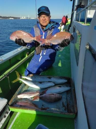 マダイ・イナダ(ブリ)