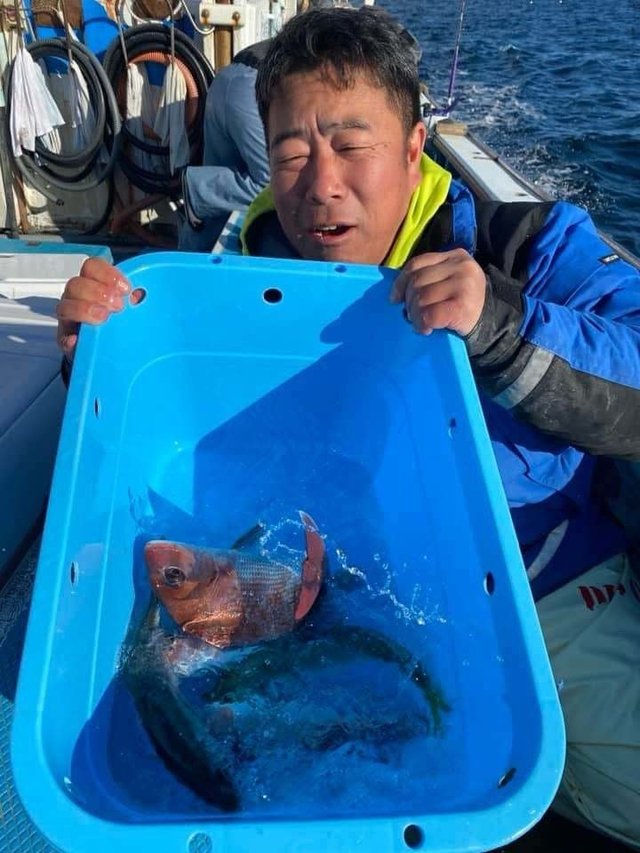 マダイ・アジ(マアジ)