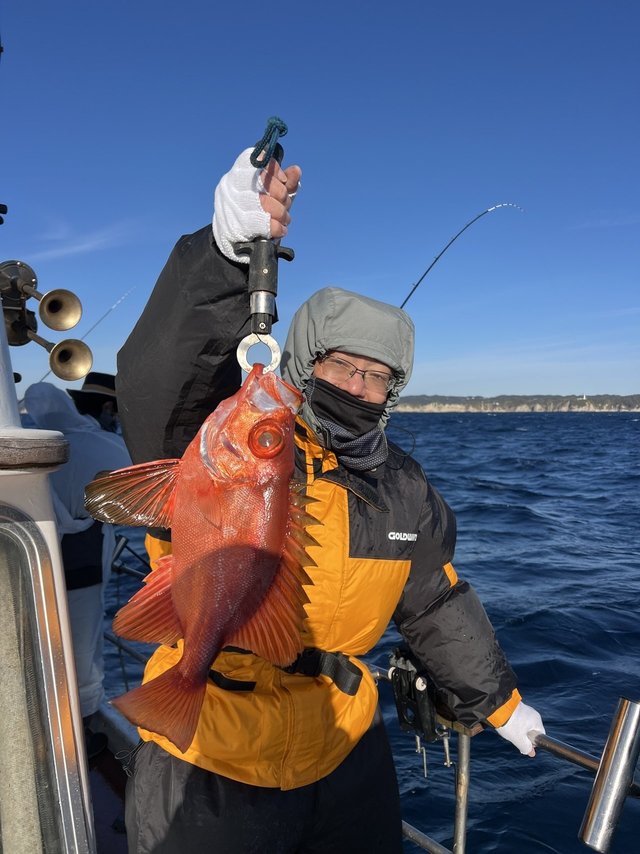 チカメキントキ