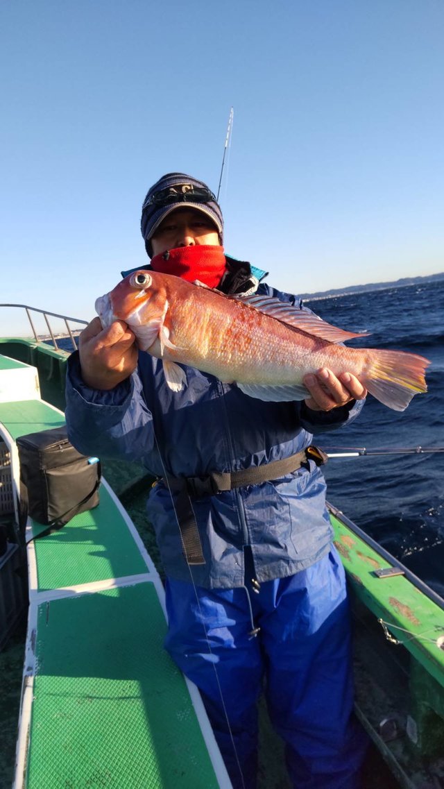 アマダイ(アカアマダイ)