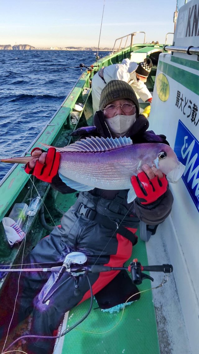 アマダイ(アカアマダイ)