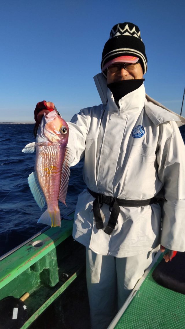 アマダイ(アカアマダイ)