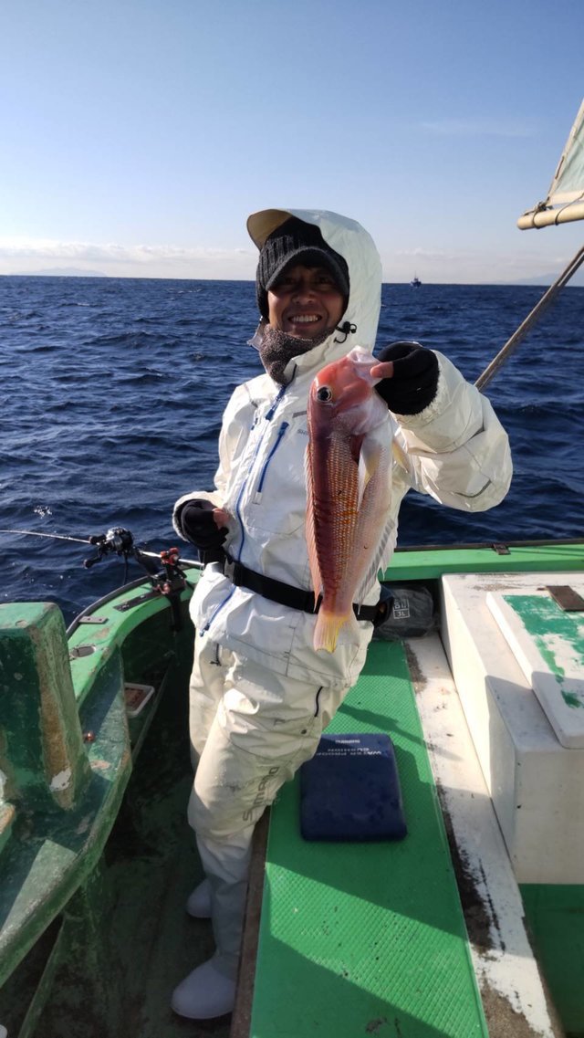 アマダイ(アカアマダイ)