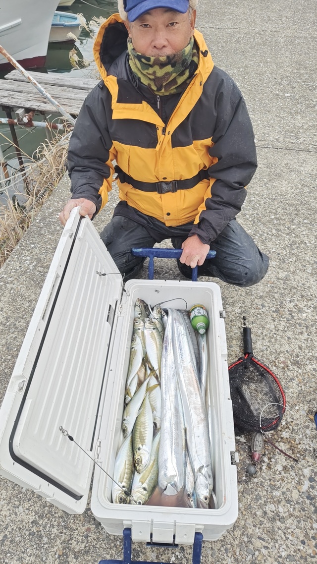 アジ(マアジ)・タチウオ