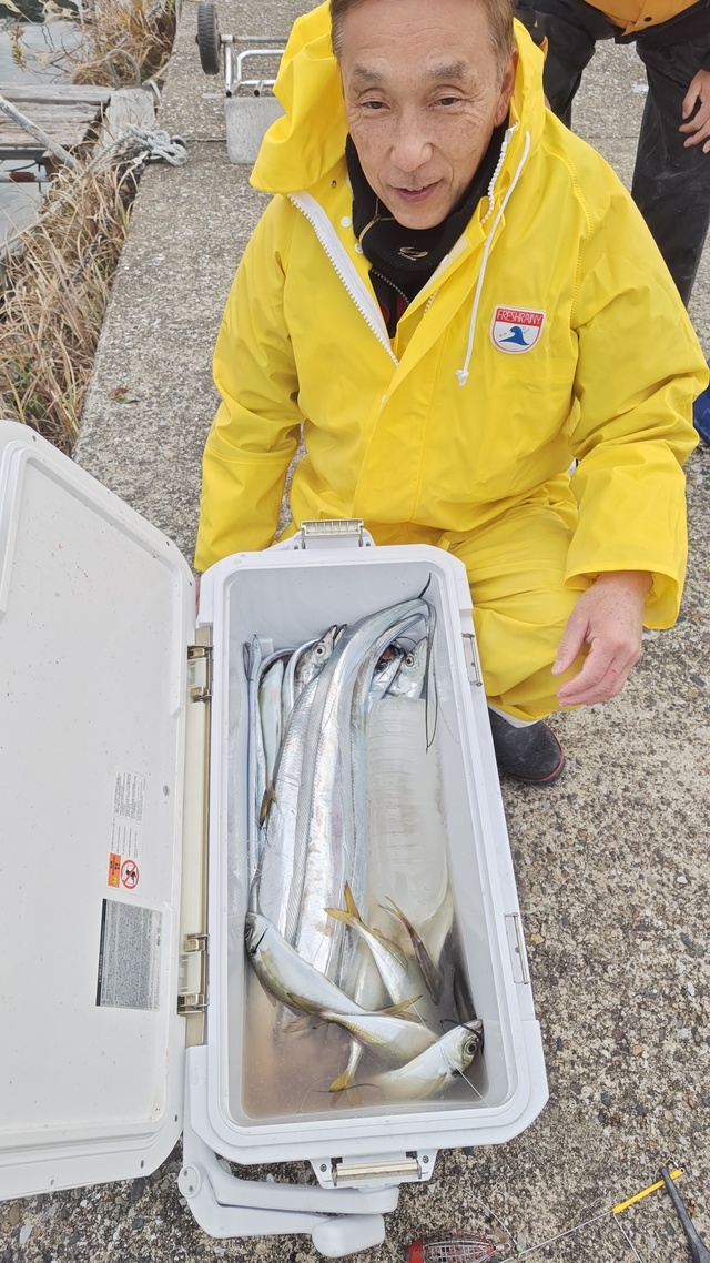 アジ(マアジ)・タチウオ