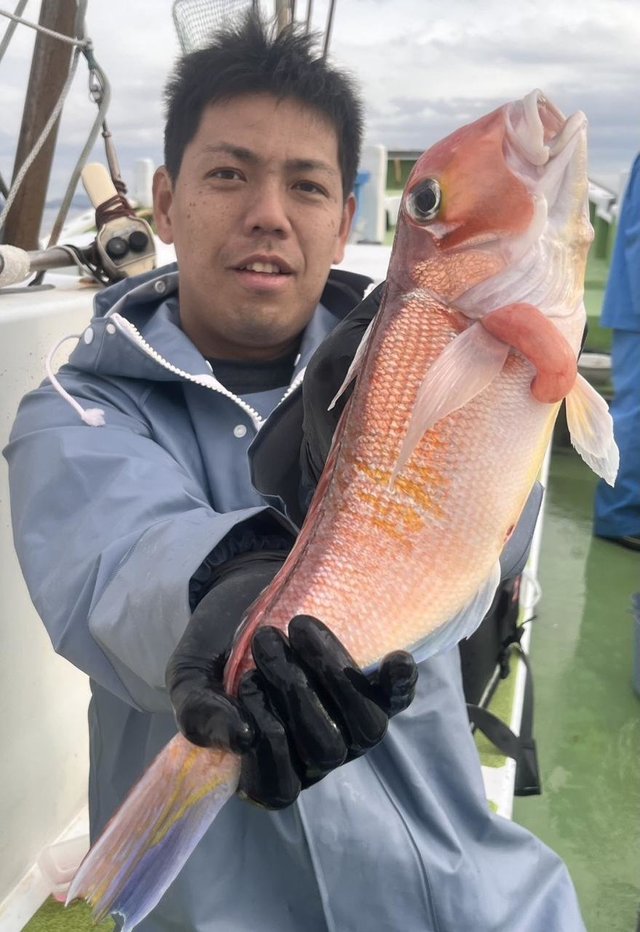 アマダイ(アカアマダイ)