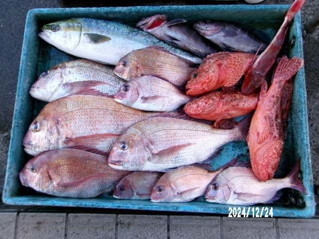 マダイ・マハタ・オニカサゴ