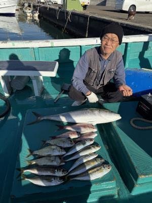 マダイ・マアジ・ブリ・メイチダイ