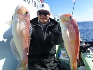 アマダイ(アカアマダイ)