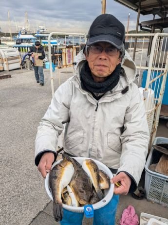 アカメフグ・コモンフグ・ショウサイフグ