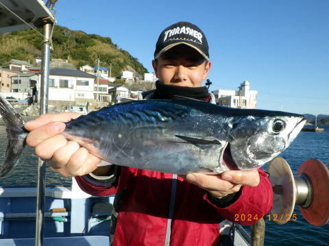 スマガツオ(スマ)