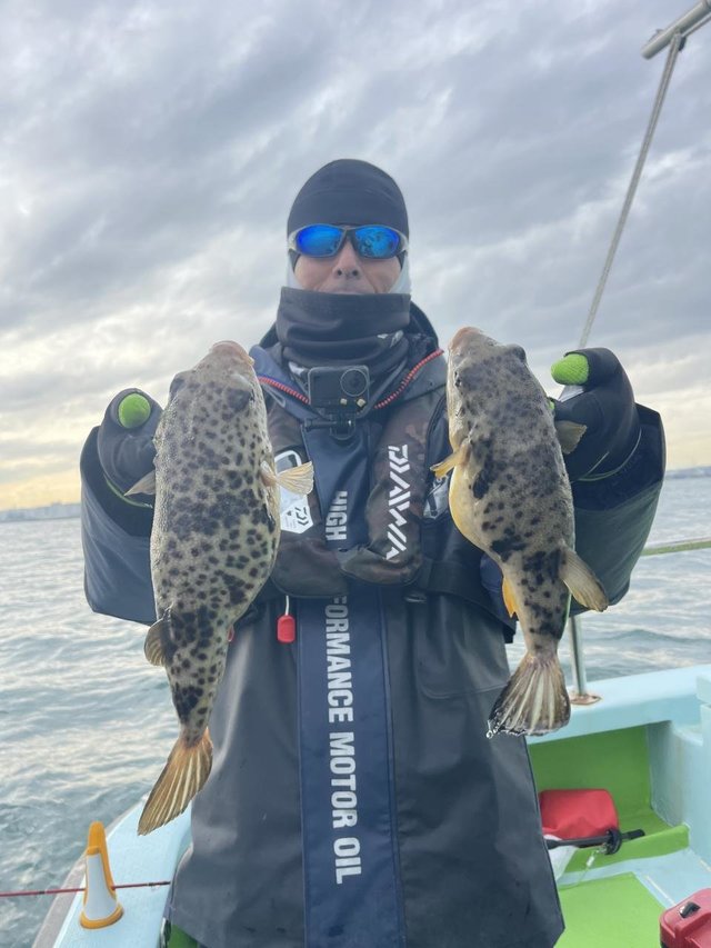 フグ(アカメフグ)