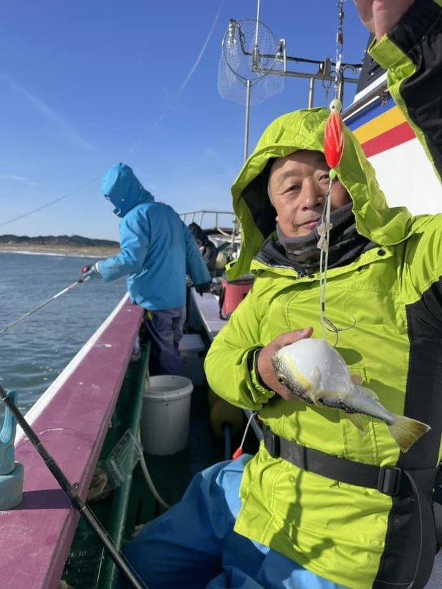 ショウサイフグ