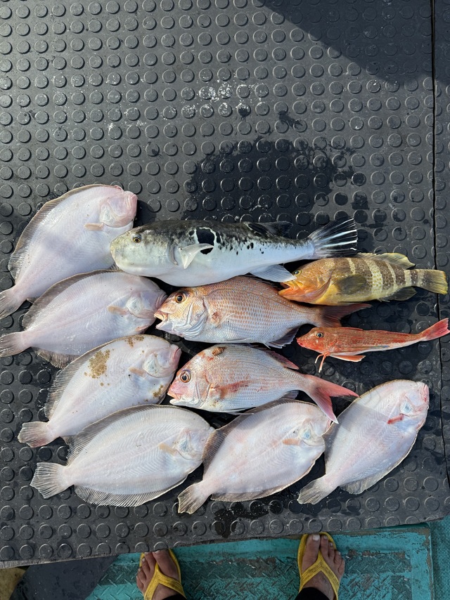 タイ(マダイ)・トラフグ