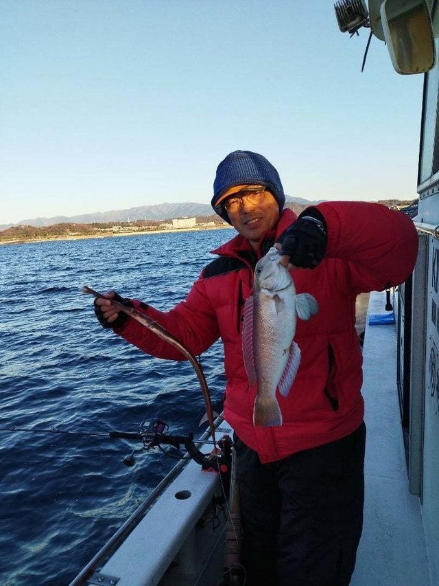 シロアマダイ・アカヤガラ