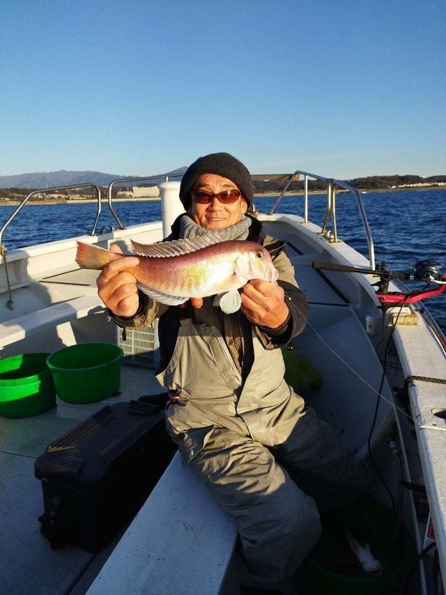 アマダイ(アカアマダイ)