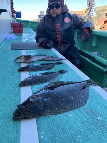 マハタ・ヒラメ