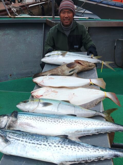 マハタ・メジロ(ブリ)・サワラ・ヒラメ