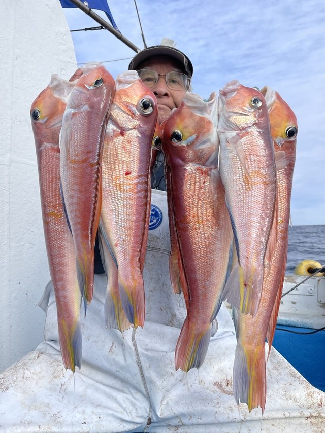 アマダイ(アカアマダイ)