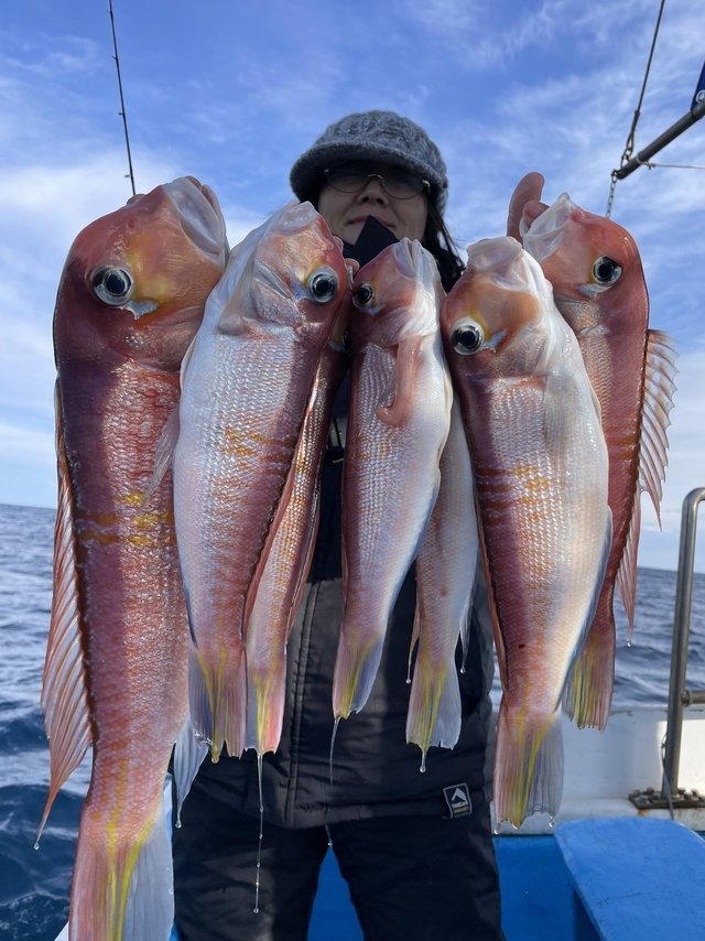 アマダイ(アカアマダイ)