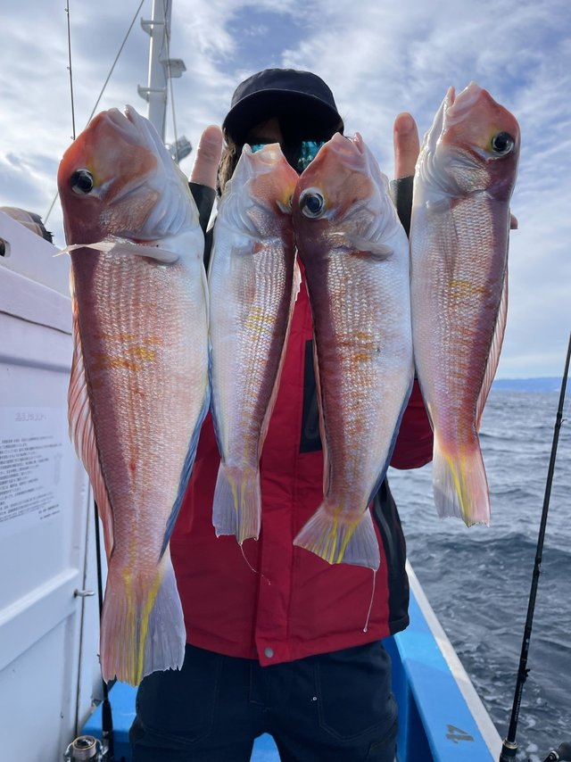 アマダイ(アカアマダイ)